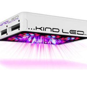 KIND K3 Series L300 LED Light